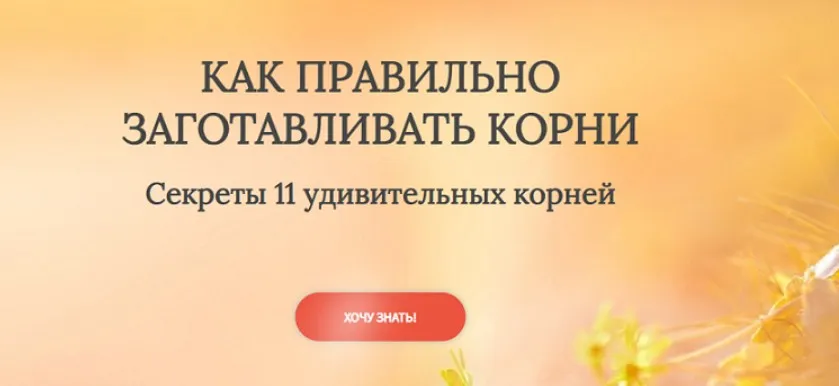 Как правильно заготавливать корни. Секреты 11 удивительных корней (Ольга Данилюк)