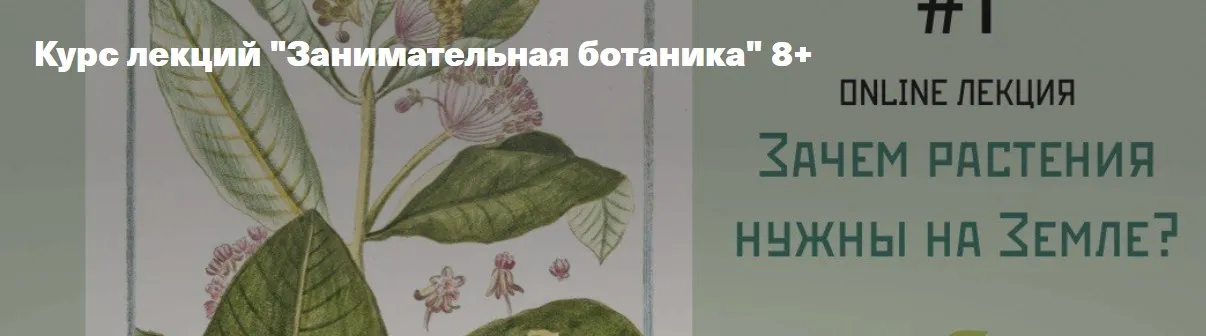 Занимательная ботаника 8+ Тариф «5 занятий» (Лиза Котлярова)