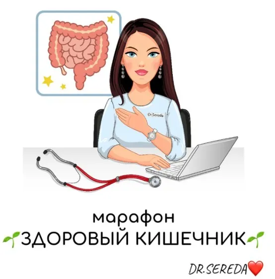 Здоровый кишечник (Анастасия Середа)