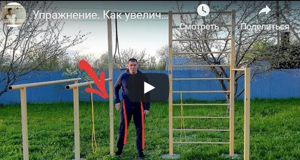 Здоровые суставы и мышцы. часть 5 (Антон Алексеев)
