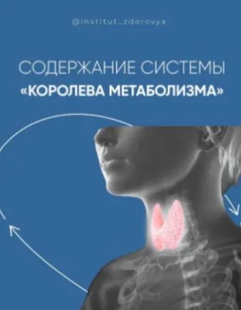 [institut_zdorovya] Королева метаболизма. Тариф Самостоятельный (Мария Волкова)