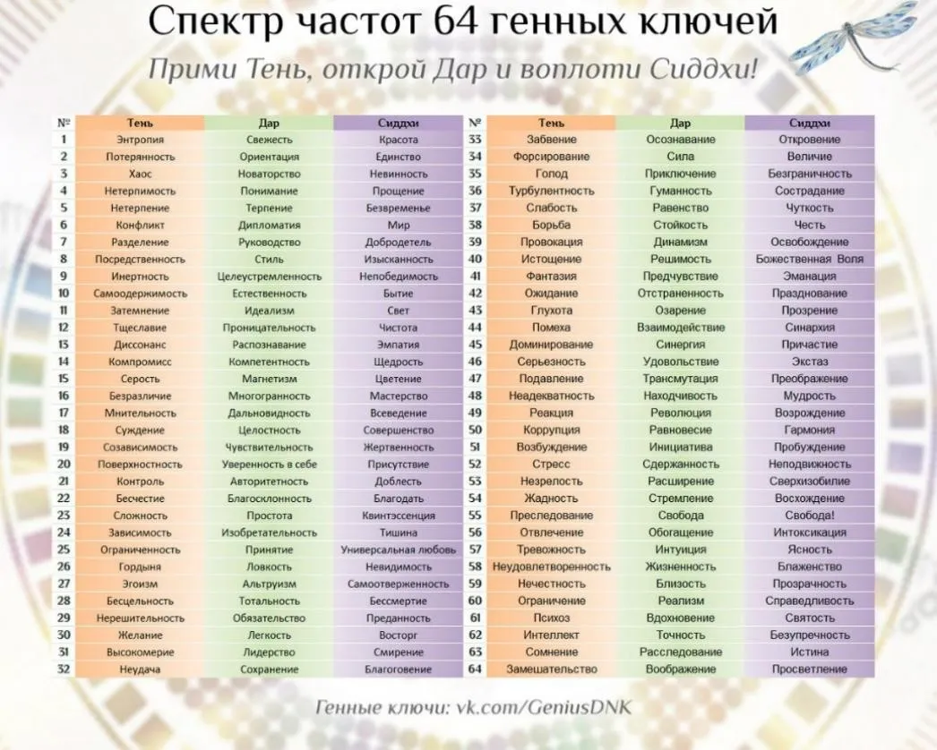 Путешествие в глубь. Продолжение. Тренинг по ДНК. Часть 2 (Снежана Сай)