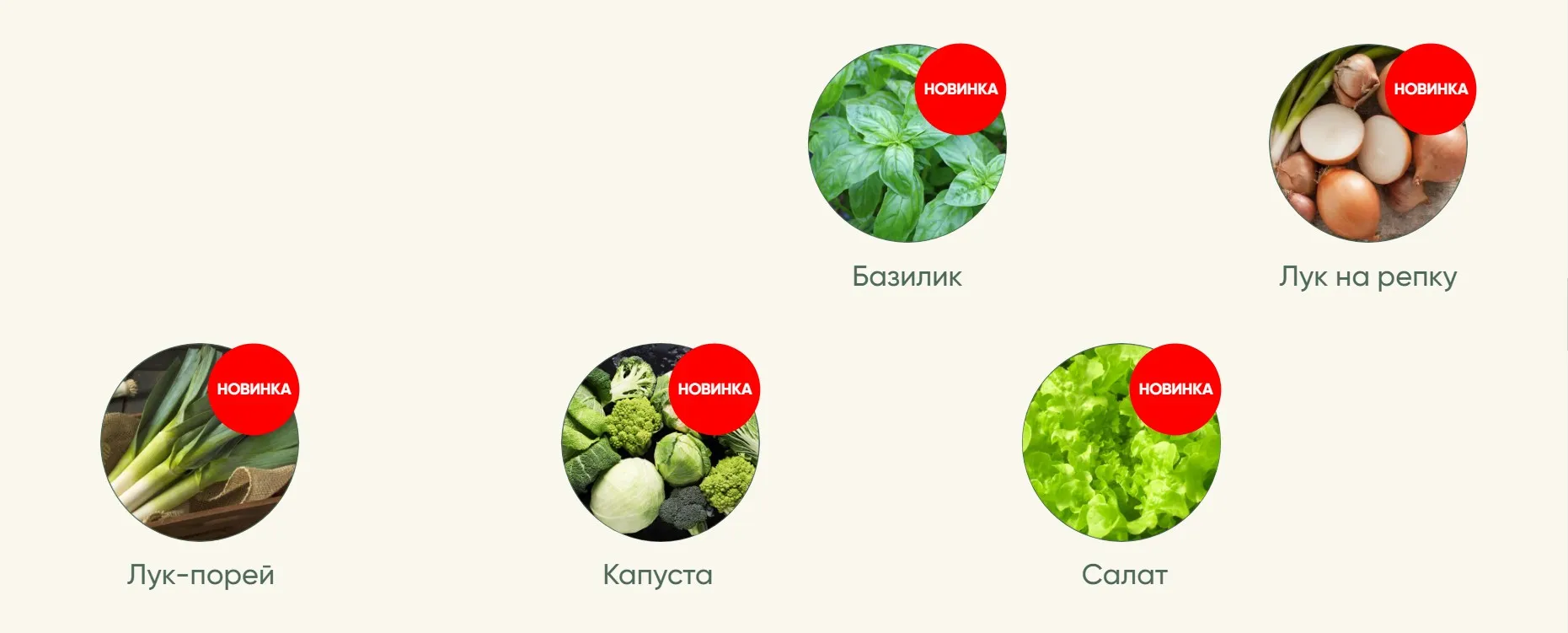 Рассада без досады. Овощная рассада Новые культуры (Анна Акинина)