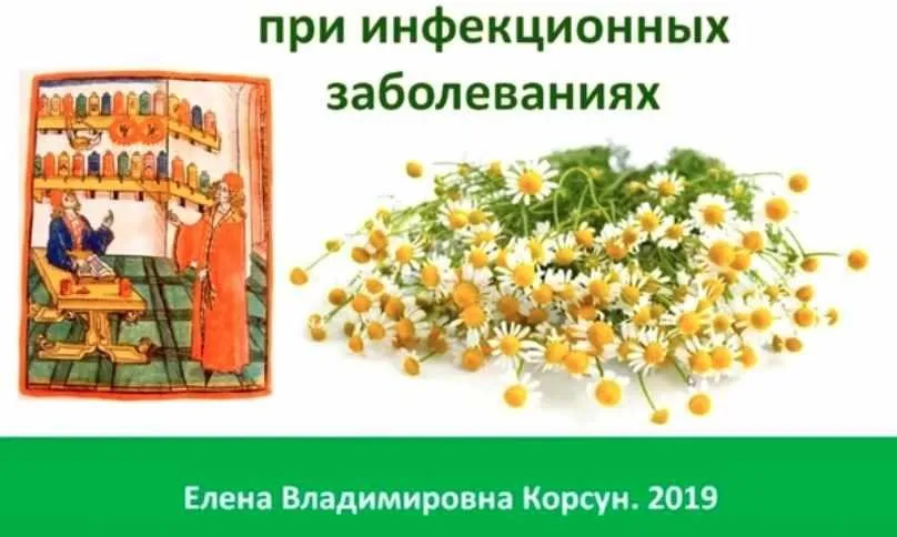 Фитооздоровление при инфекционных заболеваниях (Елена Корсун)