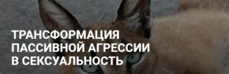 Трансформация пассивной агрессии в сексуальность. Без обратной связи (Альбина Роготовская)