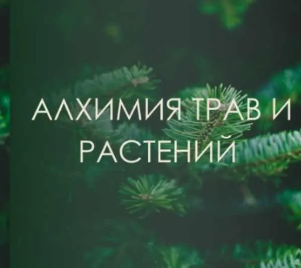 [Берегиня] Алхимия трав и растений (Марина Левит)