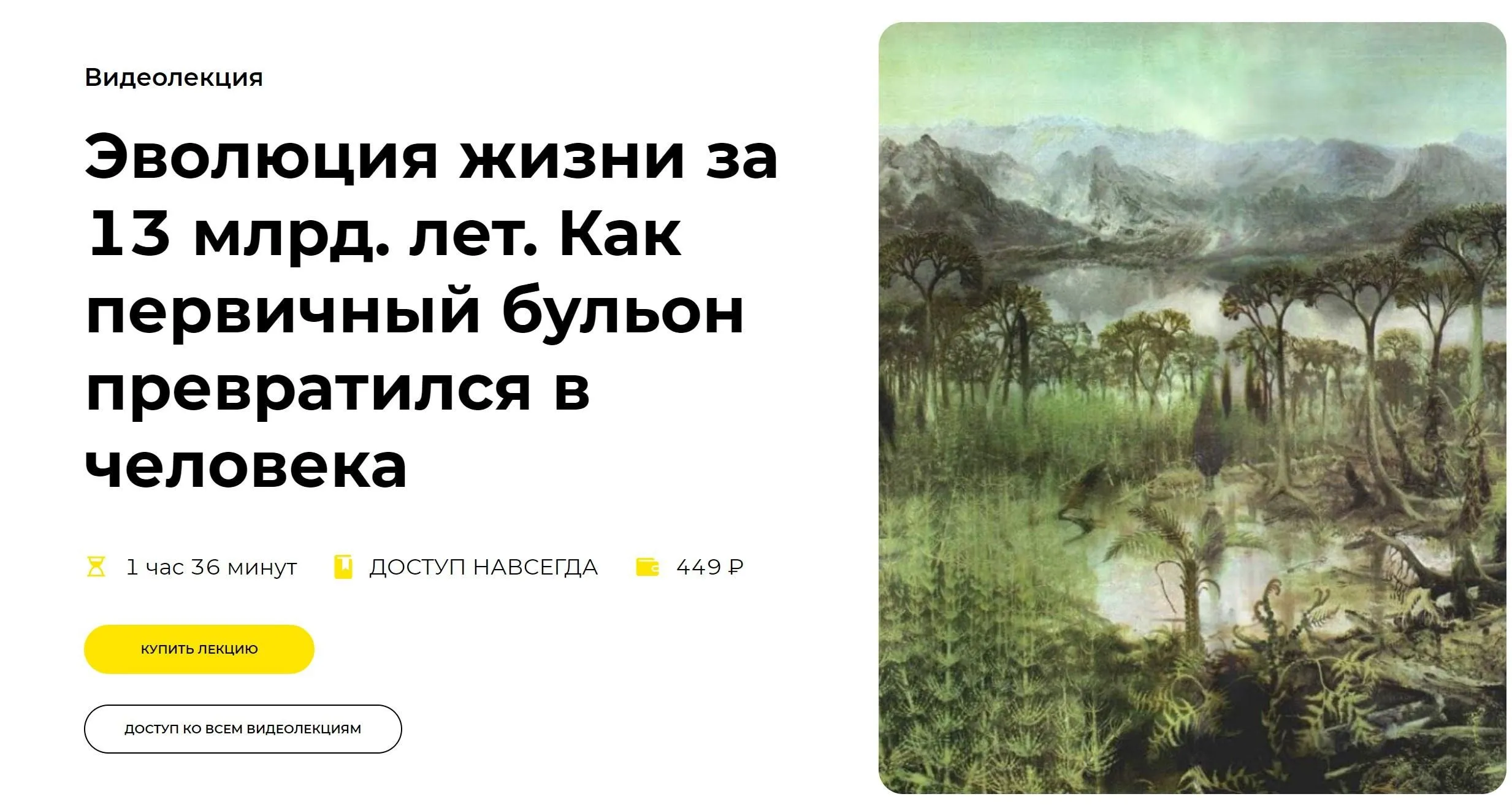 [Правое полушарие интроверта]  Эволюция жизни за 13 млрд. лет. Как первичный бульон превратился в человека (Тимур Денисов)
