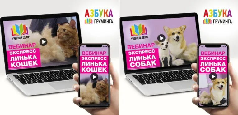 [Азбука Груминга] Линька MIX (Дарья Казимова)
