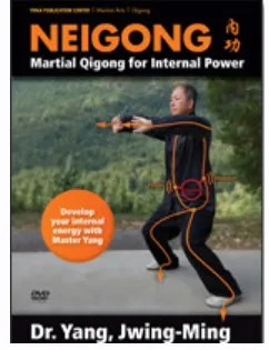 Нейгун. Часть 7 (Ян Дзюн Мин)