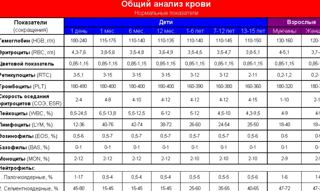 Другой взгляд на ОАК (Светлана Аллиярова)