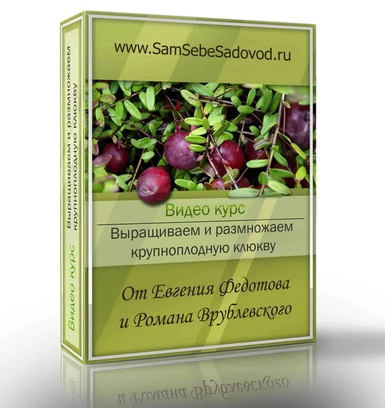 Выращиваем и размножаем крупноплодную клюкву (Евгений Федотов, Роман Врублевский)