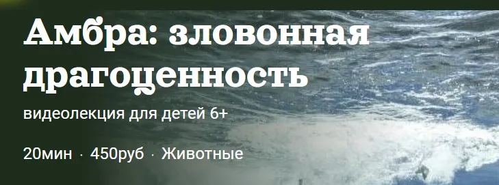 Амбра: зловонная драгоценность (Александр Толмачёв)