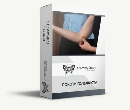 [Анатомия] Локоть гольфиста (Андрей Богатырев)