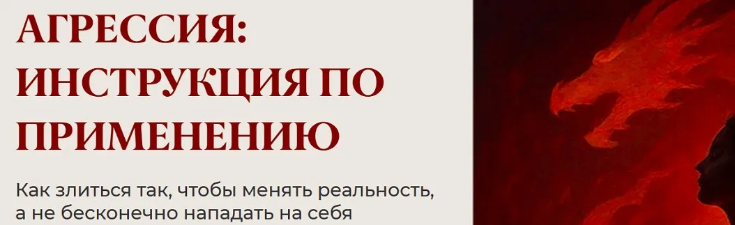 Агрессия: инструкция по применению (Юлия Пирумова)