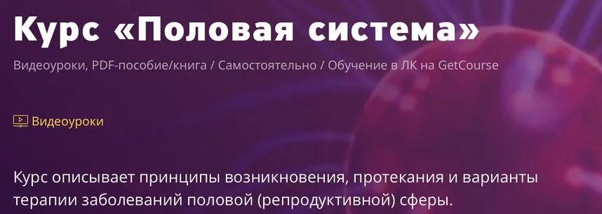 Половая система (Егор Миронов)
