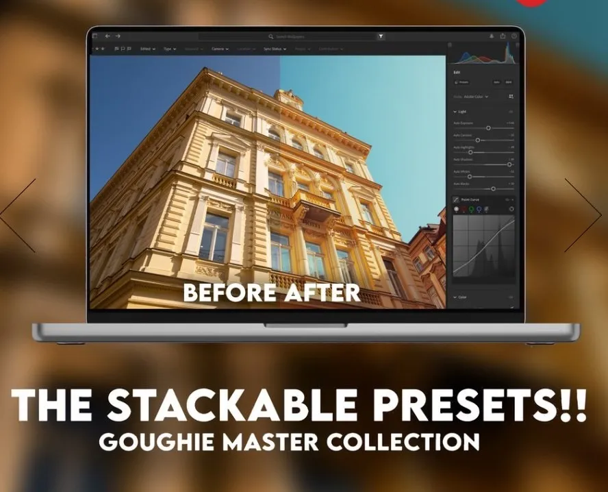 Пресеты - The Ultimate Stackable Preset Collection, 2023 (Goughie)