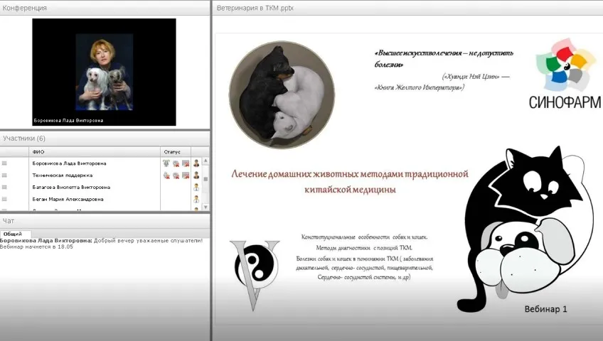 Болезни собак и кошек с позиций ТКМ (Лада Боровикова)