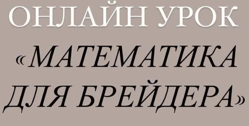 [Artstu10] Математика для брейдеров (Анастасия Десятникова)
