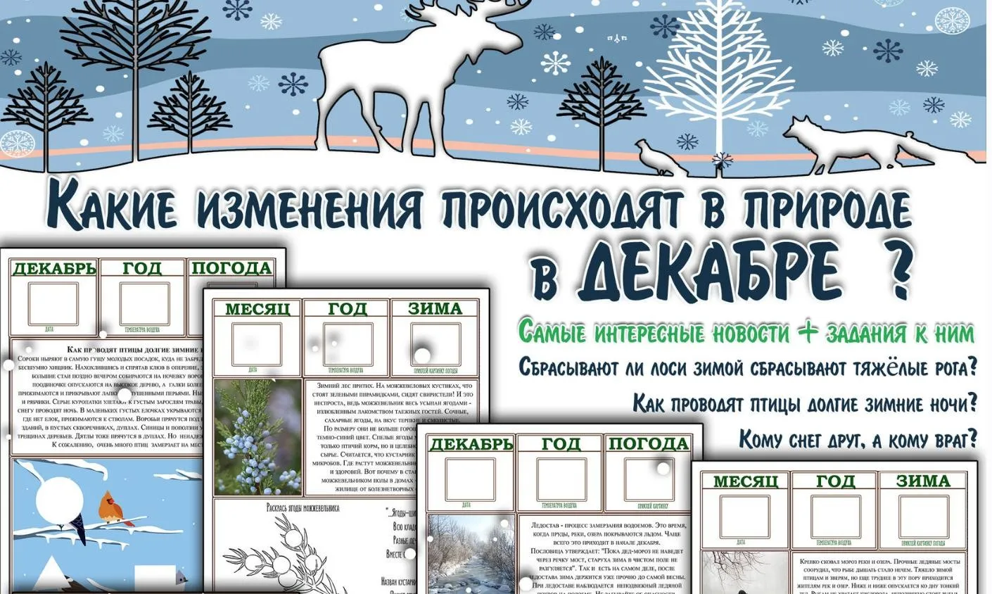[Увлекательное обучение] Интерактивные Лесные газеты. Декабрь (Елена Солдатова)