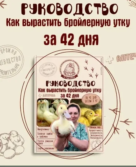 Руководство.  Как вырастить бройлерную утку за 42 дня (Анна Адамова)