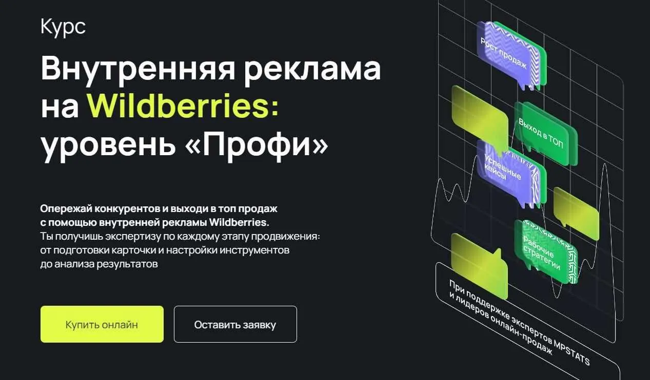 Внутренняя реклама на Wildberries: уровень «Профи». Тариф C куратором (Виктория Мурашкина, Антон Ланцов, Павел Михайлов)