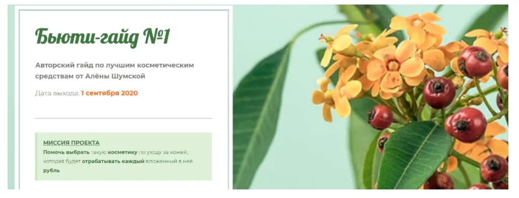 Бьюти-гайд №1 по лучшим косметическим средствам (Алёна Шумская)