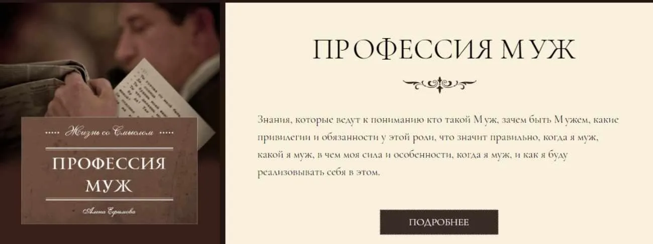 Профессия муж (Алена Ефимова)