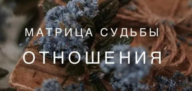 Матрица Судьбы- отношения (Ксения Ликич)