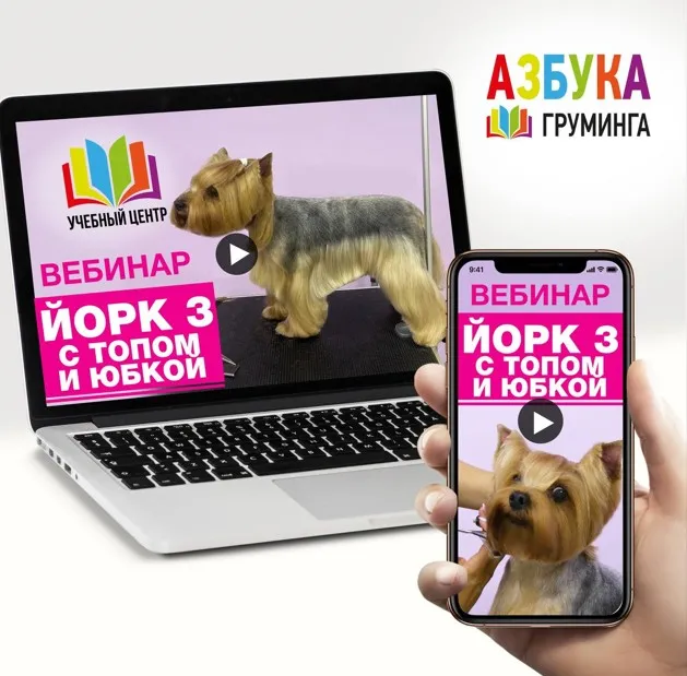 [Азбука Груминга] Стрижка Йорка. С топом и юбкой (Дарья Казимова)