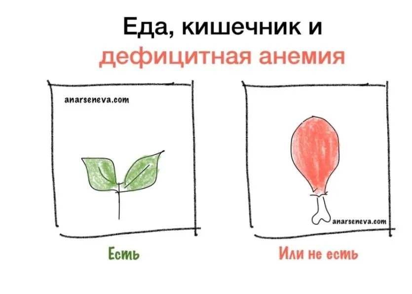 Еда, кишечник и дефицитная анемия (Анастасия Арсенева)