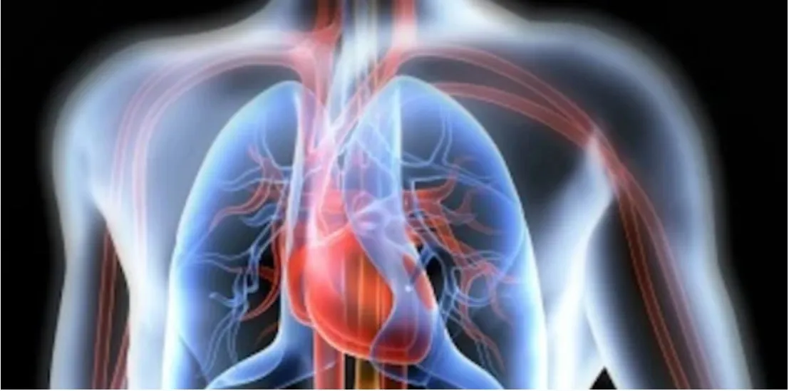 [Sigh Energy] Кардиореспираторное усиление. Cardiorespiratory Enhancement Powerful Plus +11x (Extra Strong)