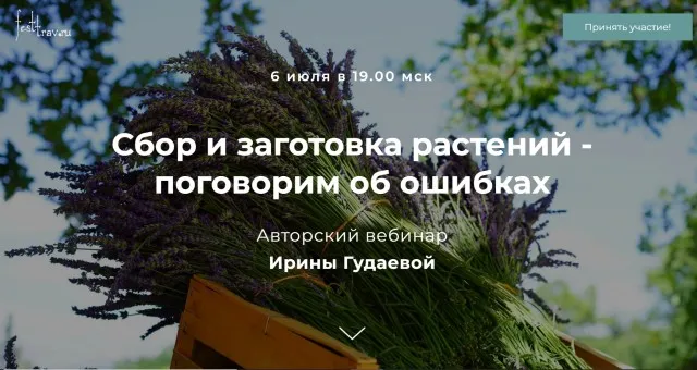 Сбор и заготовка растений - поговорим об ошибках (Ирина Гудаева)