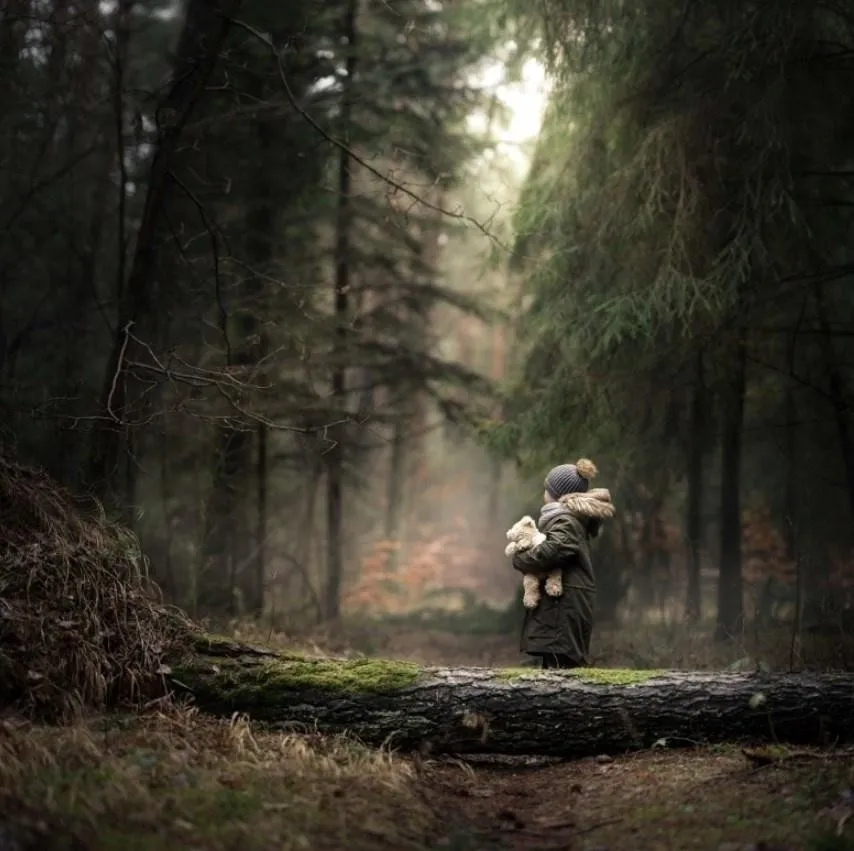 Into the forest (Iwona Podlasińska) на английском