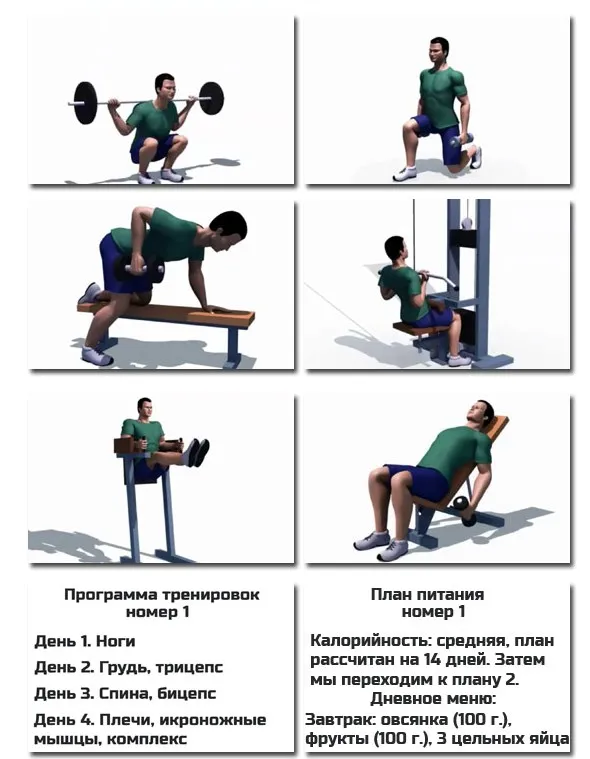 Your fit gym (Александр Добромиль)