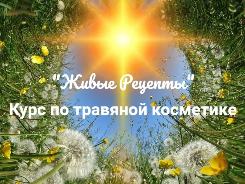 Живые рецепты. Курс по травяной косметике (Наташа Бутова)