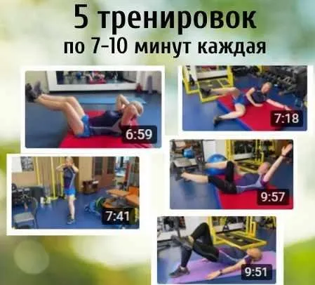 Спина-живот (Владимир Никифоров)