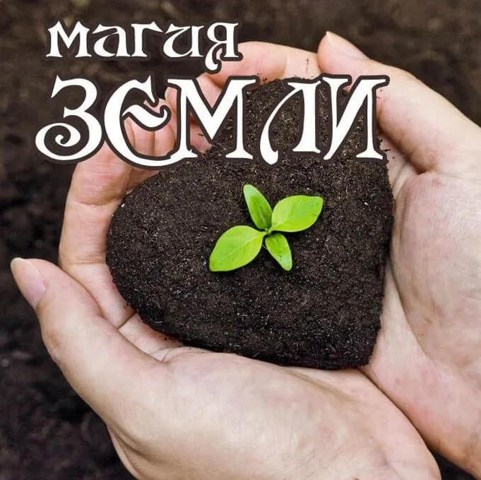 Магия земли (Алёна Полынь)