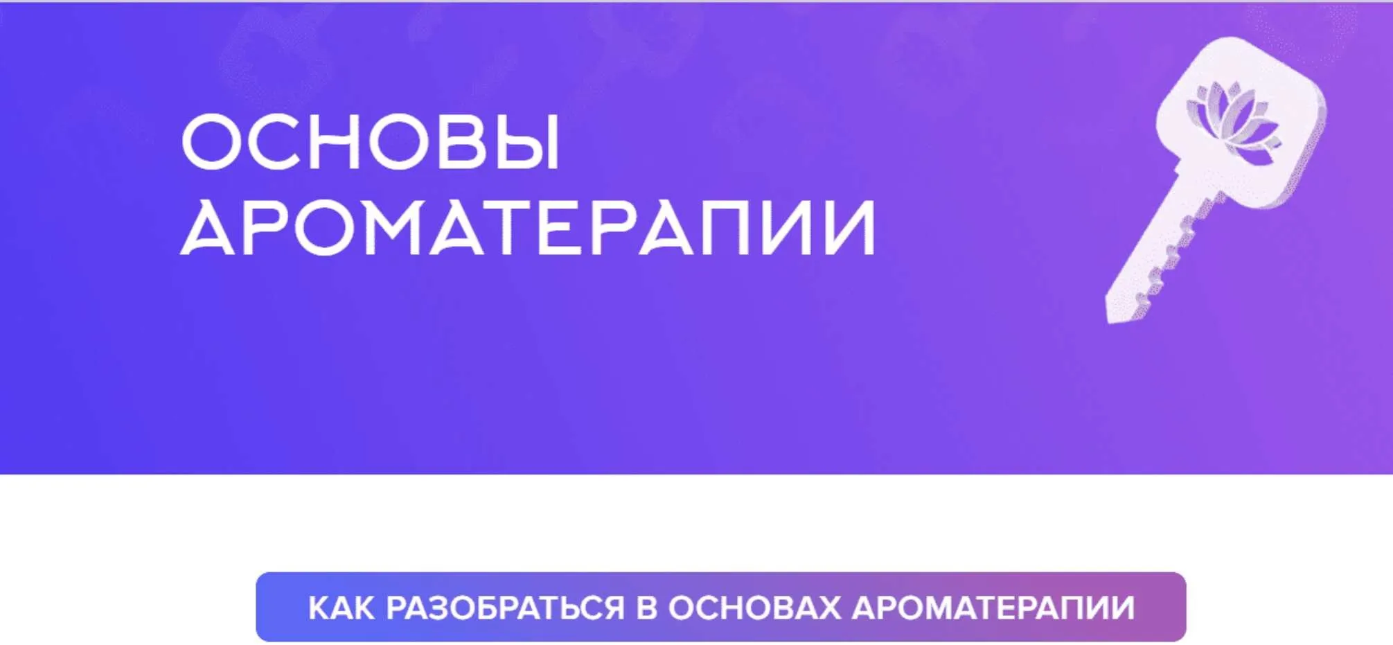 Основы ароматерапии (Наталья Шульга)