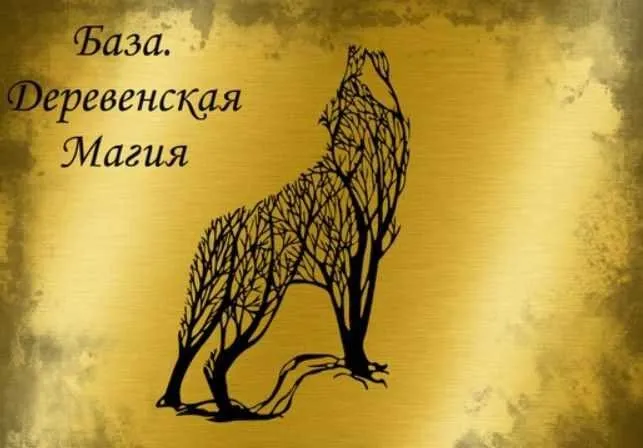 [Магия. Ведьмин котел] Базовое обучение. Деревенская магия (Татьяна Гончарова)
