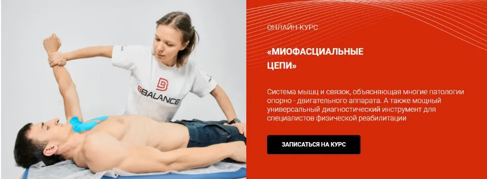 [Bbalance] Миофасциальные цепи. Мфц туловища (Евгения Чижикова)
