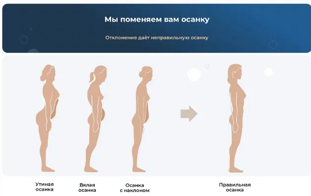 [Easydin Academy] Нейвок. Восстановление тела семиминутным расслаблением. Тариф 1 Осанка. Полный курс (Сергей Оларь)