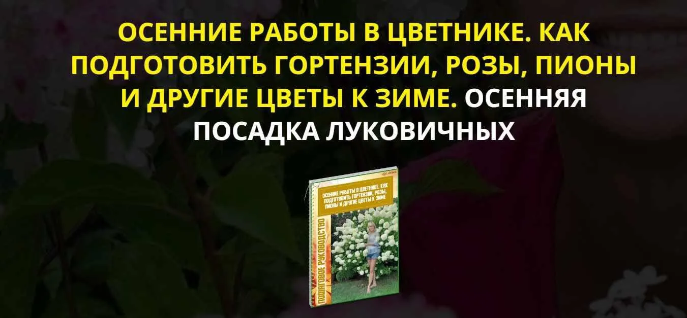 Осенние работы в цветнике. Как подготовить гортензии, розы, пионы и другие цветы к зиме. Осенняя посадка луковичных Premium комплект (Екатерина Весна)