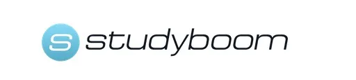 [StudyBoom] Продуктовый дизайн (Роман Шелехов)