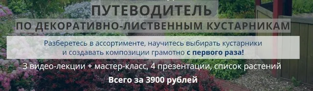 Путеводитель по декоративно-лиственным кустарникам (Наталья Мягкова)