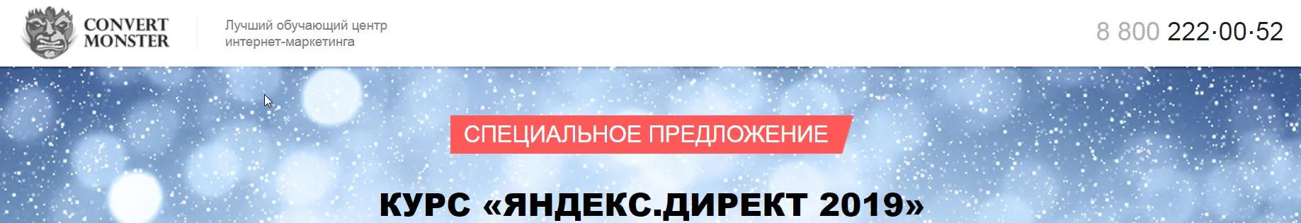 [Convert Monster] Яндекс.Директ 2019 - пакет Специалист (Елена Амаюкова)