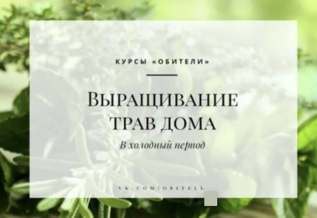 [Учебный центр Обитель] Выращивание трав дома в холодный период, 2017 (Елена Невретдинова)