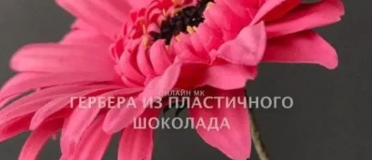[Кондитерка] Гербера из пластичного шоколада (Светлана Кузьмина)