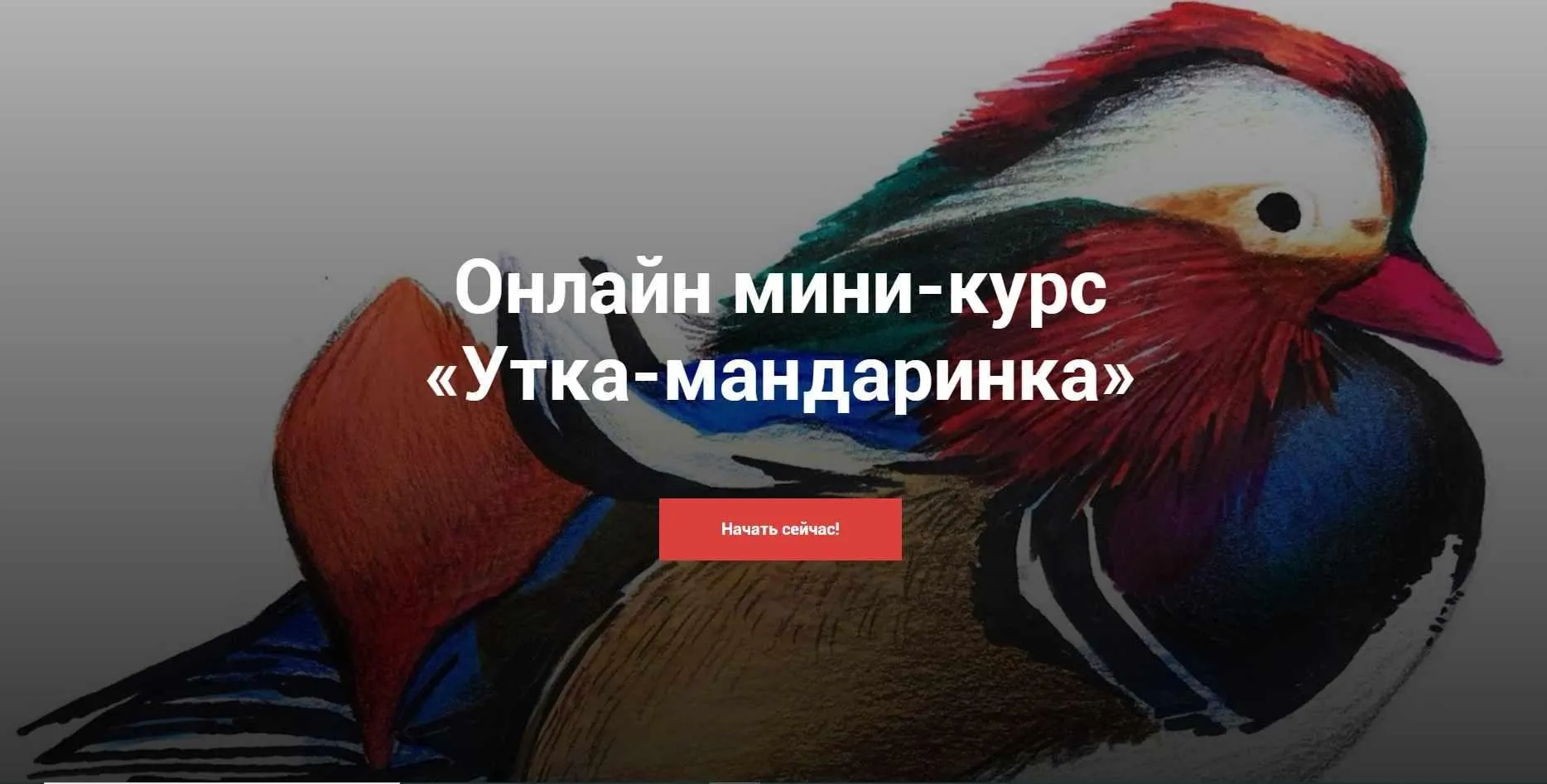 [Kalacheva School] Мини-курс «Утка-мандаринка» (Евгения Мельникова)