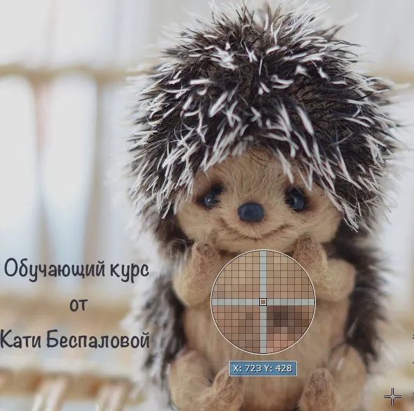 Обучающий курс «Ёжик» (Катя Беспалова)