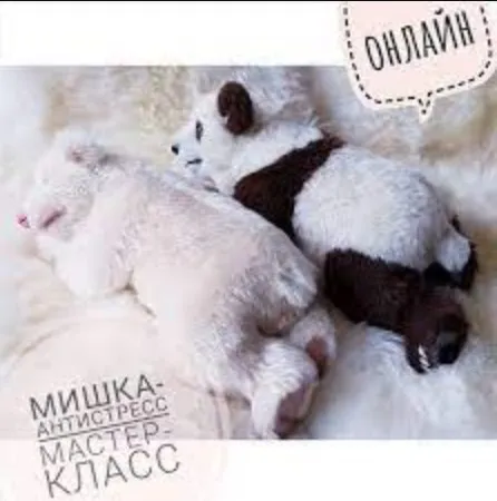 [Тедди] Мишка-Антистресс Мастер-класс онлайн (Veronika Heck)